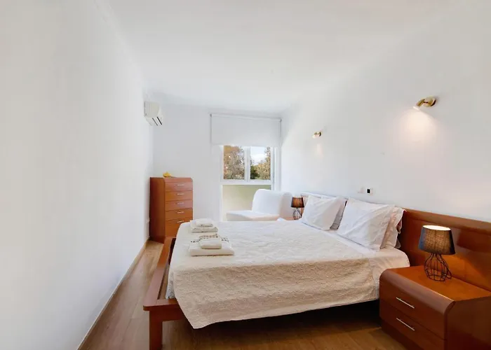 Palm Paradise Salgados