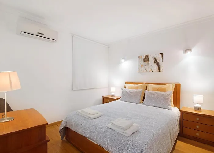 Palm Paradise Salgados *